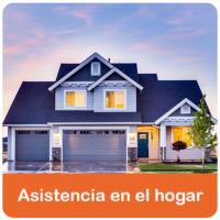 Asistencia_hogar